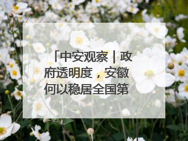 中安观察｜政府透明度，安徽何以稳居全国第一方阵？