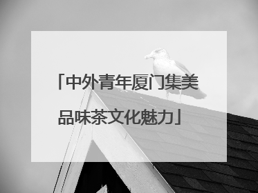 中外青年厦门集美品味茶文化魅力