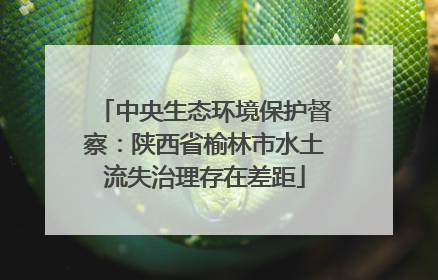 中央生态环境保护督察：陕西省榆林市水土流失治理存在差距