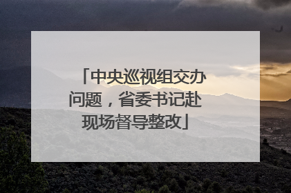 中央巡视组交办问题，省委书记赴现场督导整改