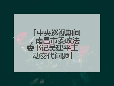 中央巡视期间，南昌市委政法委书记吴建平主动交代问题