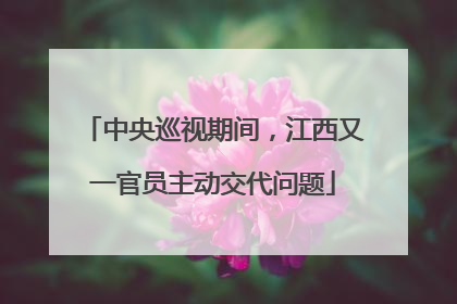 中央巡视期间，江西又一官员主动交代问题