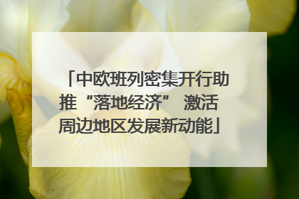 中欧班列密集开行助推“落地经济” 激活周边地区发展新动能