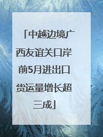中越边境广西友谊关口岸前5月进出口货运量增长超三成