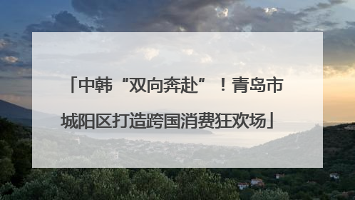 中韩“双向奔赴”！青岛市城阳区打造跨国消费狂欢场