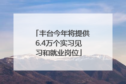 丰台今年将提供6.4万个实习见习和就业岗位