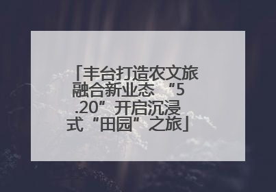 丰台打造农文旅融合新业态 “5.20”开启沉浸式“田园”之旅