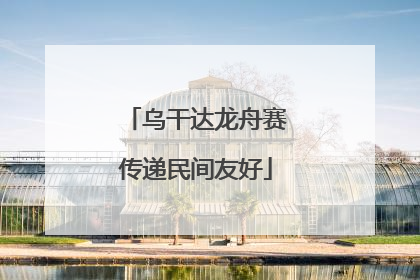 乌干达龙舟赛传递民间友好