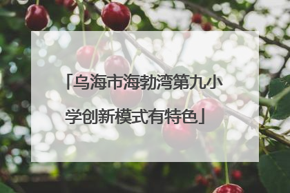 乌海市海勃湾第九小学创新模式有特色