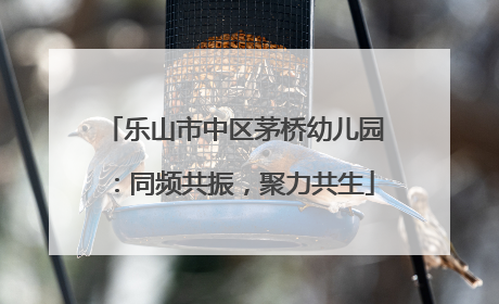 乐山市中区茅桥幼儿园：同频共振，聚力共生