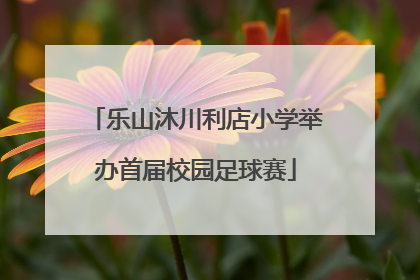 乐山沐川利店小学举办首届校园足球赛