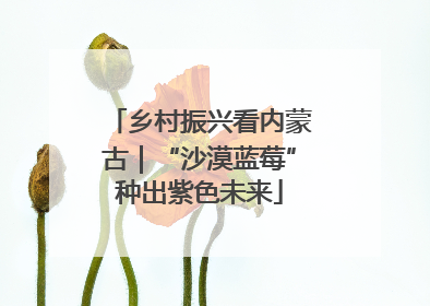 乡村振兴看内蒙古｜“沙漠蓝莓”种出紫色未来