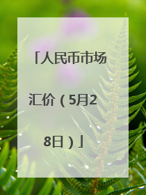 人民币市场汇价（5月28日）