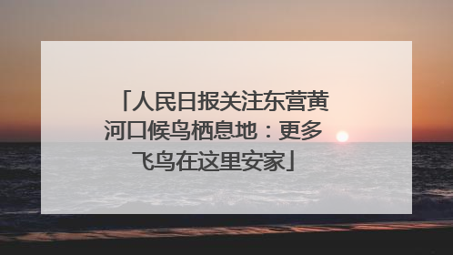 人民日报关注东营黄河口候鸟栖息地：更多飞鸟在这里安家