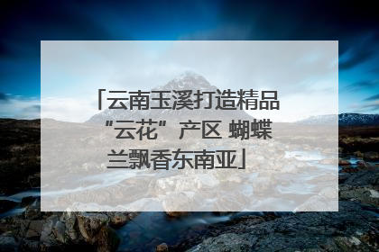 云南玉溪打造精品“云花”产区 蝴蝶兰飘香东南亚