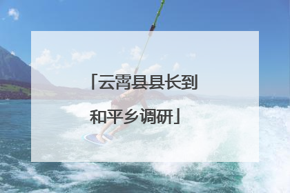 云霄县县长到和平乡调研