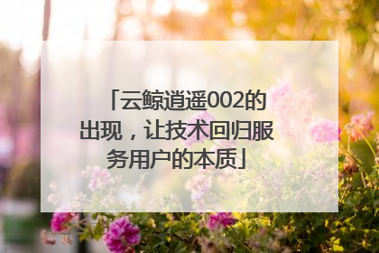 云鲸逍遥002的出现，让技术回归服务用户的本质