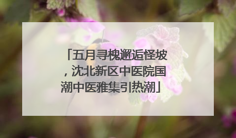 五月寻槐邂逅怪坡，沈北新区中医院国潮中医雅集引热潮