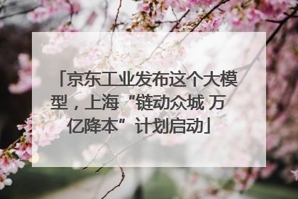 京东工业发布这个大模型，上海“链动众城 万亿降本”计划启动