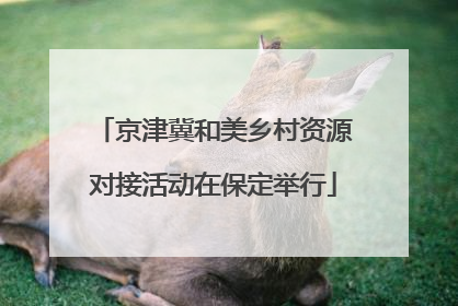 京津冀和美乡村资源对接活动在保定举行