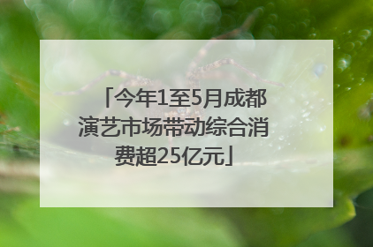 今年1至5月成都演艺市场带动综合消费超25亿元
