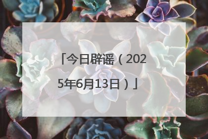 今日辟谣（2025年6月13日）