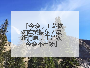 今晚，王楚钦对阵樊振东？最新消息：王楚钦今晚不出场