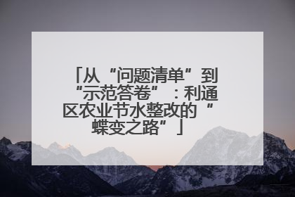 从“问题清单”到“示范答卷”：利通区农业节水整改的“蝶变之路”