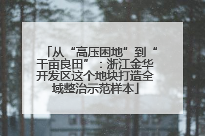 从“高压困地”到“千亩良田”：浙江金华开发区这个地块打造全域整治示范样本