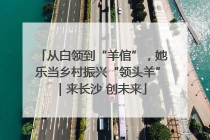 从白领到“羊倌”，她乐当乡村振兴“领头羊”｜来长沙 创未来