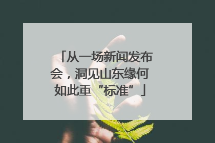 从一场新闻发布会，洞见山东缘何如此重“标准”
