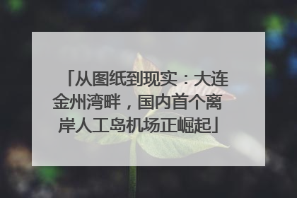 从图纸到现实：大连金州湾畔，国内首个离岸人工岛机场正崛起
