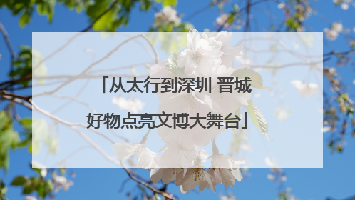 从太行到深圳 晋城好物点亮文博大舞台