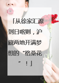 从徐家汇源到日喀则，沪藏两地开满梦想的“格桑花”！