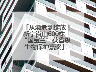 从濒危到绽放！新宁崀山600株“国宝兰”获省级生物保护嘉奖