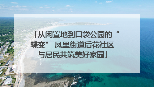 从闲置地到口袋公园的“蝶变” 凤里街道后花社区与居民共筑美好家园