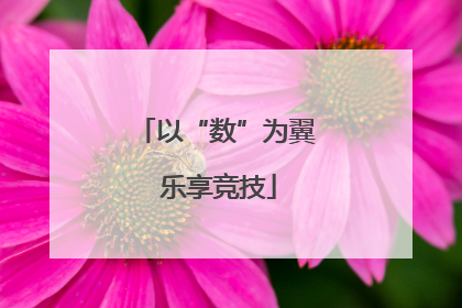 以“数”为翼 乐享竞技