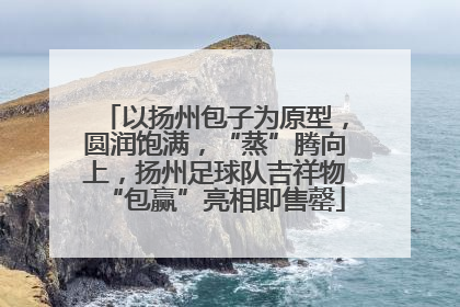 以扬州包子为原型，圆润饱满，“蒸”腾向上，扬州足球队吉祥物“包赢”亮相即售罄