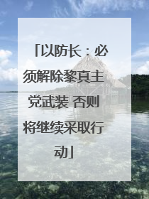 以防长：必须解除黎真主党武装 否则将继续采取行动