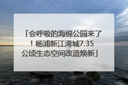 会呼吸的海绵公园来了！杨浦新江湾城7.35公顷生态空间改造焕新
