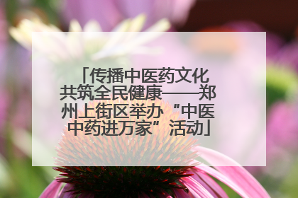 传播中医药文化 共筑全民健康——郑州上街区举办“中医中药进万家”活动