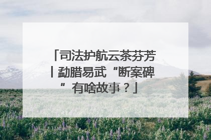 司法护航云茶芬芳丨勐腊易武“断案碑”有啥故事？