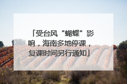 受台风“蝴蝶”影响，海南多地停课，复课时间另行通知