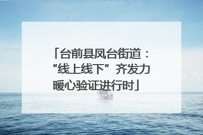 台前县凤台街道：“线上线下”齐发力 暖心验证进行时