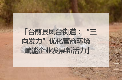 台前县凤台街道：“三向发力”优化营商环境 赋能企业发展新活力