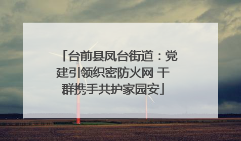 台前县凤台街道：党建引领织密防火网 干群携手共护家园安