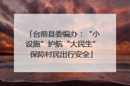 台前县委编办：“小设施”护航“大民生” 保障村民出行安全