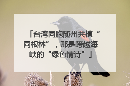 台湾同胞随州共植“同根林”，那是跨越海峡的“绿色情诗”
