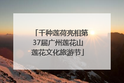 千种莲荷亮相第37届广州莲花山莲花文化旅游节
