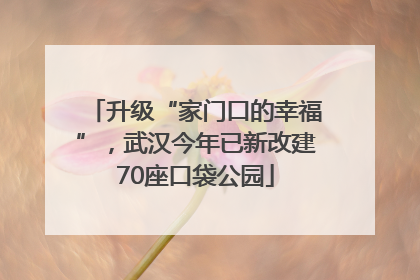 升级“家门口的幸福”，武汉今年已新改建70座口袋公园